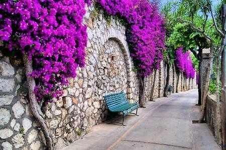 Gocce Villas - Skyline Sorrento Views In The Heart Of Sorrento Bagian luar foto