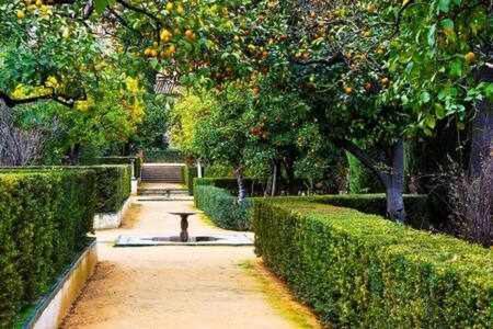 Gocce Villas - Skyline Sorrento Views In The Heart Of Sorrento Bagian luar foto